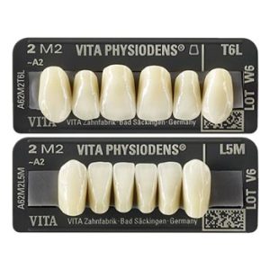PHYSIODENS L5M
